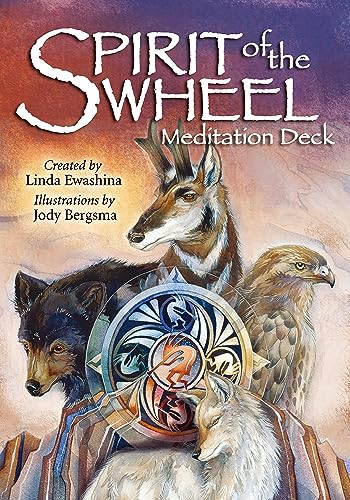 Stock image for Spirit of the Wheel Meditation Deck for sale by TextbookRush
