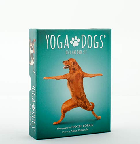 Beispielbild fr Yoga Dogs Deck and Book Set zum Verkauf von Books From California