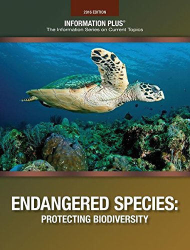 Stock image for Endangered Species: Protecting Biodiversity for sale by ThriftBooks-Atlanta