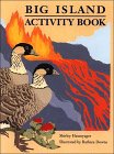 Stock image for Big Island Activity Book for sale by Wonder Book