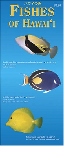 Stock image for Fishes of Hawaii (Hawaii Pocket Guides) for sale by Ergodebooks