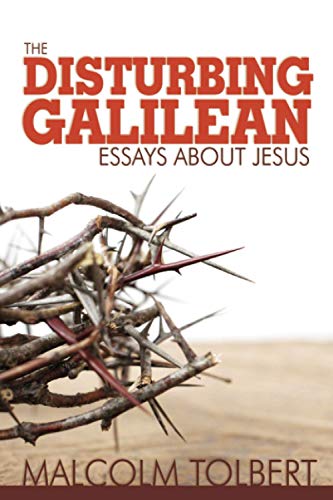 Beispielbild fr The Disturbing Galilean: Essays about Jesus zum Verkauf von Dunaway Books