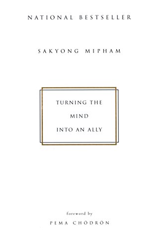 9781573223454: Turning the Mind Into an Ally