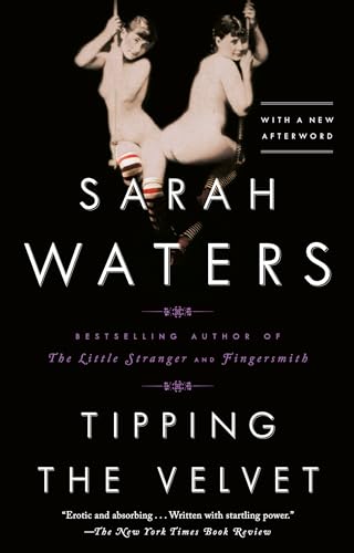 Beispielbild fr Tipping the Velvet: A Novel zum Verkauf von BooksRun