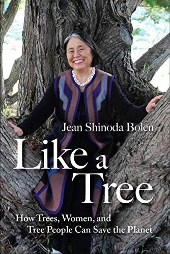 Beispielbild fr Like A Tree: How Trees, Women, and Tree People Can Save the Planet zum Verkauf von WorldofBooks