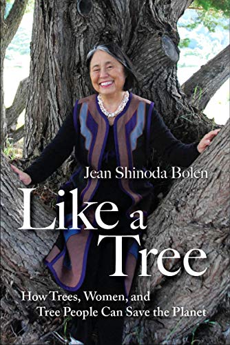 Stock image for Like a Tree: How Trees, Women, and Tree People Can Save the Planet for sale by Your Online Bookstore