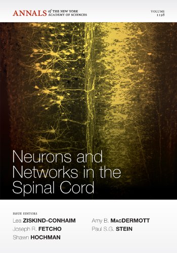 Beispielbild fr Neurons and Networks in the Spinal Cord (Annals of the New York Academy of Sciences, Volume 1198) zum Verkauf von Zubal-Books, Since 1961