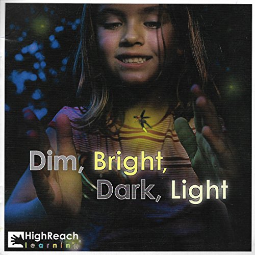 9781573320474: Dim, Bright, Dark, Light
