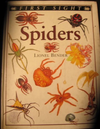 Stock image for Spiders (First sight) for sale by HPB Inc.