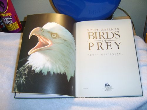 Beispielbild fr North America: Birds of Prey zum Verkauf von BookHolders