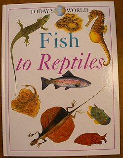 Imagen de archivo de Fish to reptiles (Today's world) a la venta por Better World Books