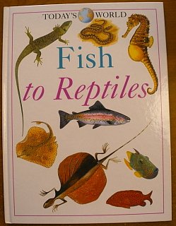 Stock image for Fish to reptiles (Today's world) for sale by Better World Books