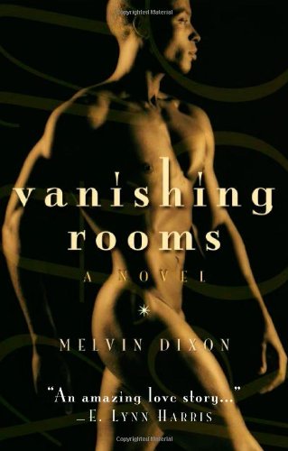 Beispielbild fr Vanishing Rooms: A Novel zum Verkauf von HPB-Ruby