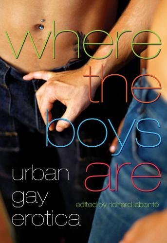 Stock image for Where the Boys Are: Urban Gay Erotica for sale by HPB-Emerald