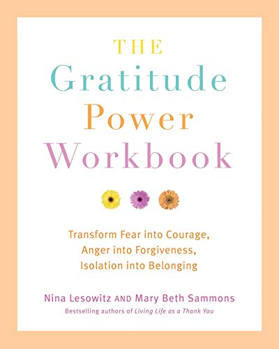 Imagen de archivo de Gratitude Power Workbook: Transform Fear into Courage, Anger into Forgiveness, Isolation into Belonging a la venta por KuleliBooks