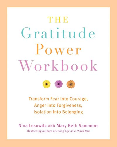 Stock image for Gratitude Power Workbook: Transform Fear into Courage, Anger into Forgiveness, Isolation into Belonging for sale by KuleliBooks
