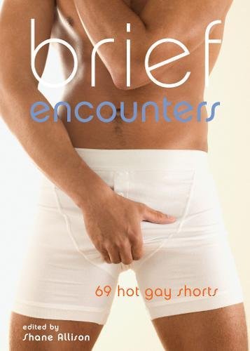 Beispielbild fr Brief Encounters : 69 Hot Gay Shorts zum Verkauf von Better World Books