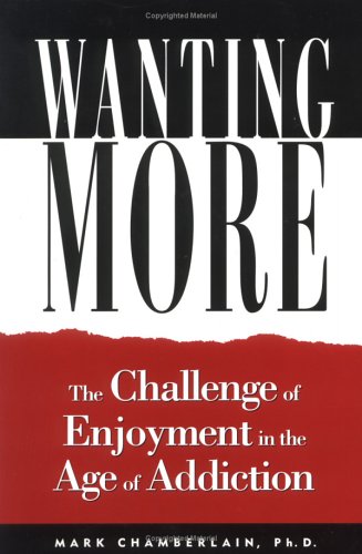 Imagen de archivo de Wanting More: Challenge of Enjoyment in the Age of Addiction a la venta por SecondSale