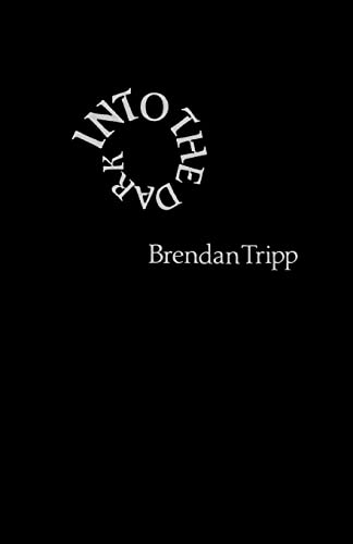 Into The Dark (Paperback) - Brendan Tripp