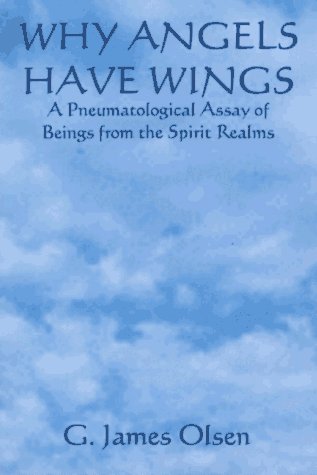 Imagen de archivo de Why Angels Have Wings: A Pneumatological Assay of Beings of the Spirit Realms a la venta por Veronica's Books