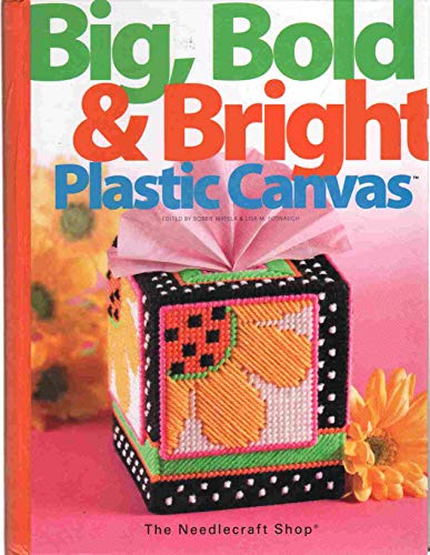 Beispielbild fr Big, Bold & Bright Plastic Canvas zum Verkauf von Wonder Book