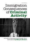 9781573702911: Immigration Consequences of Criminal Activity: A Guide to Representing Foreign-Born Defendants