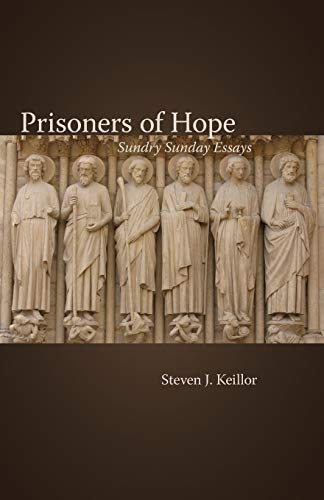 Stock image for Prisoners of Hope: Sundry Sunday Essays for sale by Ergodebooks