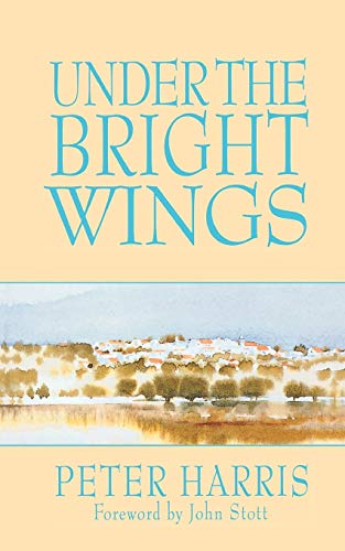 Imagen de archivo de Under the Bright Wings a la venta por Zoom Books Company