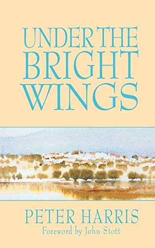 9781573831888: Under the Bright Wings