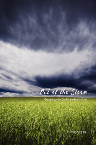 Stock image for Out of the Storm: Grappling With God in the Book of Job for sale by ZBK Books