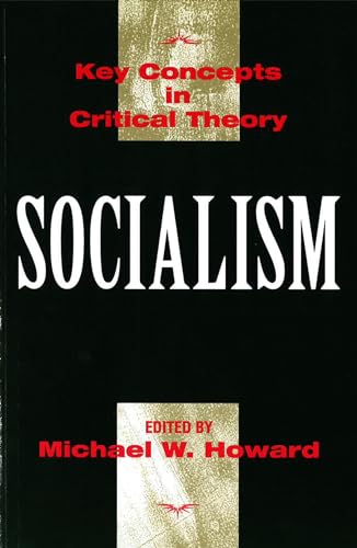 Beispielbild fr Socialism (Key Concepts in Critical Theory) zum Verkauf von HPB-Red