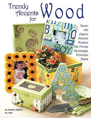 Stock image for Trendy Accents for Wood: Decor with Paper Accents, Mosaics, Silk Florals, Decoupage, Einvirotex, Paints for sale by Half Price Books Inc.