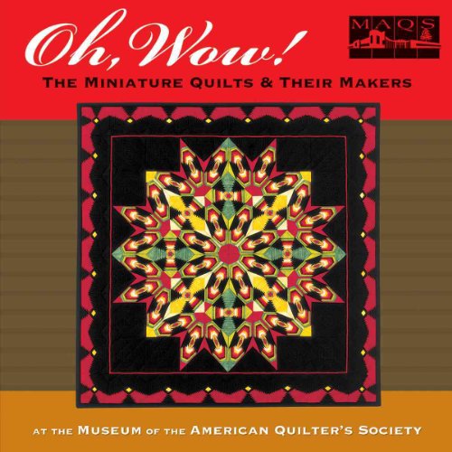 Imagen de archivo de Oh Wow!: The Miniature Quilts & Their Makers a la venta por HPB Inc.