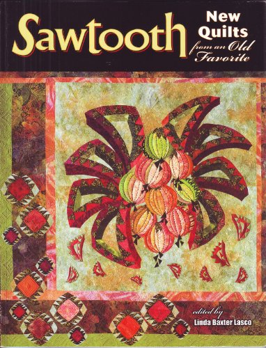 9781574329605: Sawtooth - New Quilts from an Old Favorite