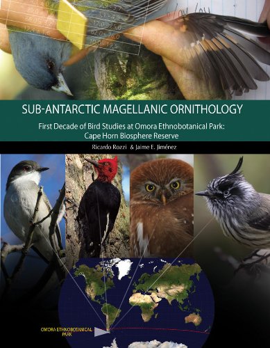 Stock image for Magellanic Sub-Antarctic Ornithology: The First Decade of Long-Term Bird Studies at the Omora Ethnobotanical Park, Cape Horn Biosphere Reserve, Chile