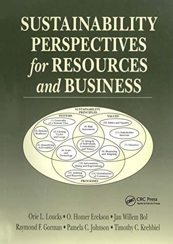 Stock image for Sustainability Perspectives for Resources and Business for sale by HPB-Red