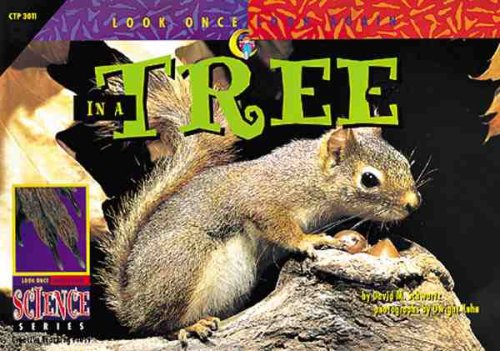 Beispielbild fr In a Tree (Look Once, Look Again Science Series) zum Verkauf von Gulf Coast Books