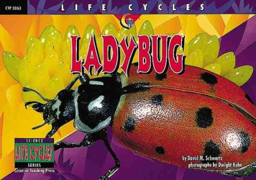 9781574715538: Lady Bug (Life Cycles)