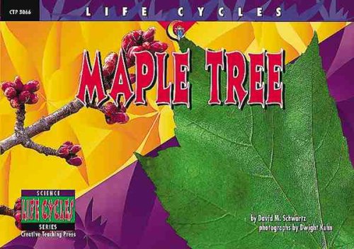 Stock image for Maple Tree (Life Cycles) for sale by SecondSale