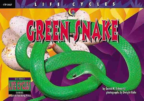 Imagen de archivo de Green Snake (Life Cycles) a la venta por SecondSale