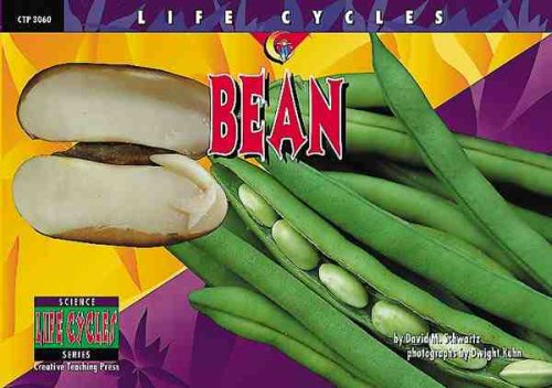 Beispielbild fr Bean (Life Cycles) zum Verkauf von SecondSale