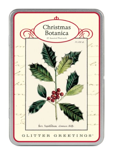 9781574896022: Christmas Botanticals Glitter Greetings Postcards