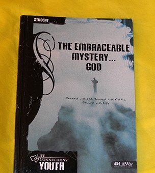 Beispielbild fr The Embraceable Mystery God Leader Guide (Bible Study That Builds Christian Community) zum Verkauf von SecondSale