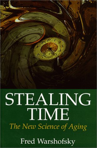 Stock image for Stealing Time: Steve Case, Jerry Levin, and the Collapse of AOL Time Warner for sale by ThriftBooks-Dallas