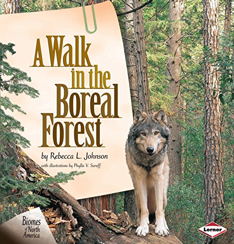 Beispielbild fr A Walk in the Boreal Forest zum Verkauf von Better World Books