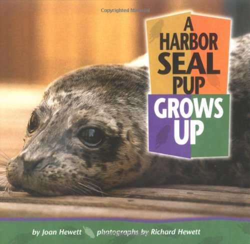 Beispielbild fr A Harbor Seal Pup Grows Up zum Verkauf von Better World Books: West