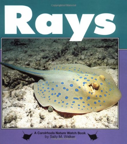 Imagen de archivo de Rays: A Carolhoda Nature Watch Book a la venta por Top Notch Books
