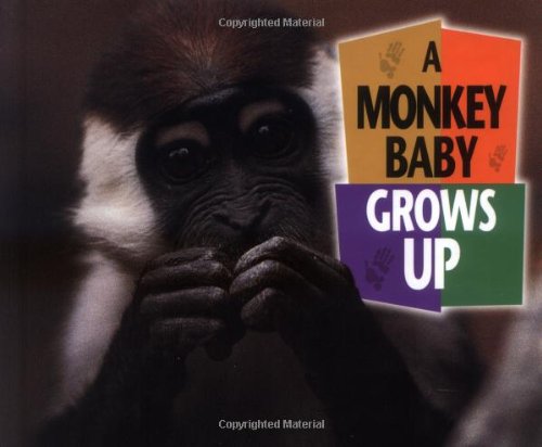 Stock image for A Monkey Baby Grows Up for sale by Better World Books