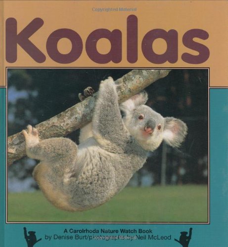 Imagen de archivo de Koalas (Nature Watch) a la venta por SecondSale