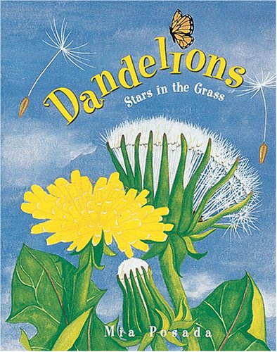 Beispielbild fr Dandelions : Stars in the Grass zum Verkauf von Better World Books